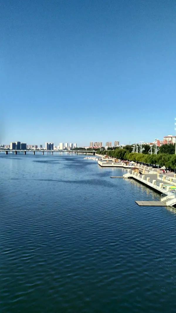 辽宁锦州市凌河区蛋糕店,辽宁锦州市凌河区宠物用品批发