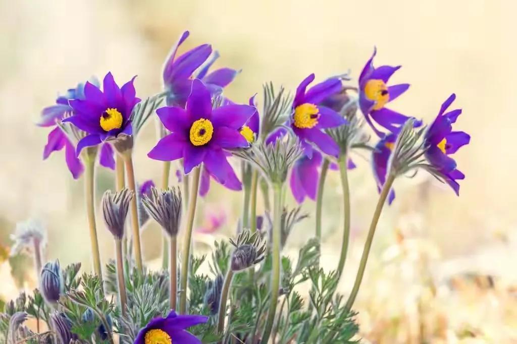 46岁女人自述：母亲病逝三年后，感谢父亲娶了我小姨