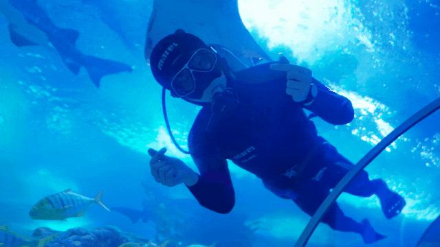 学生特惠票19.9元一票畅玩,暑期特惠88观光儿童票