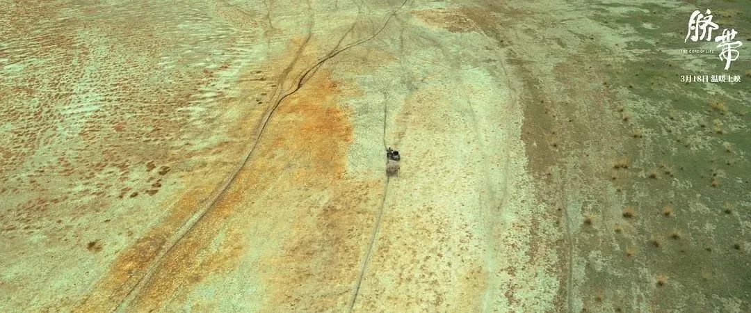 3月,终于等来这样一部“良心”国产片,电影的结尾,太惊艳了