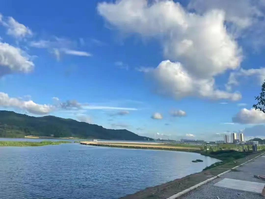 广州西保利均价6000带精装修,广州西高新区保利央企新盘