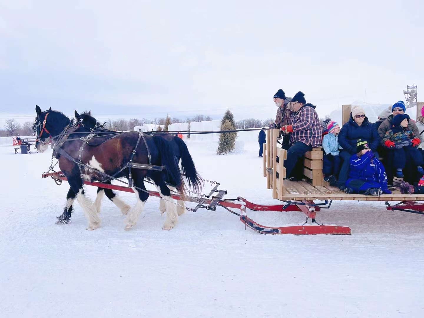 80后Cindy从美国到加拿大：放弃体制内工作，大龄毅然出国深造