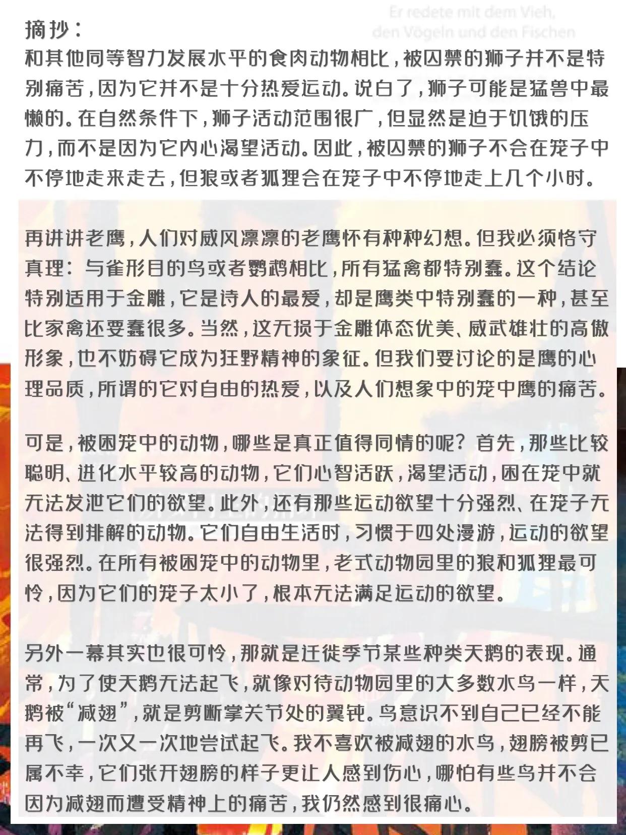 所罗门王的指环在线读,所罗门王的指环读书交流