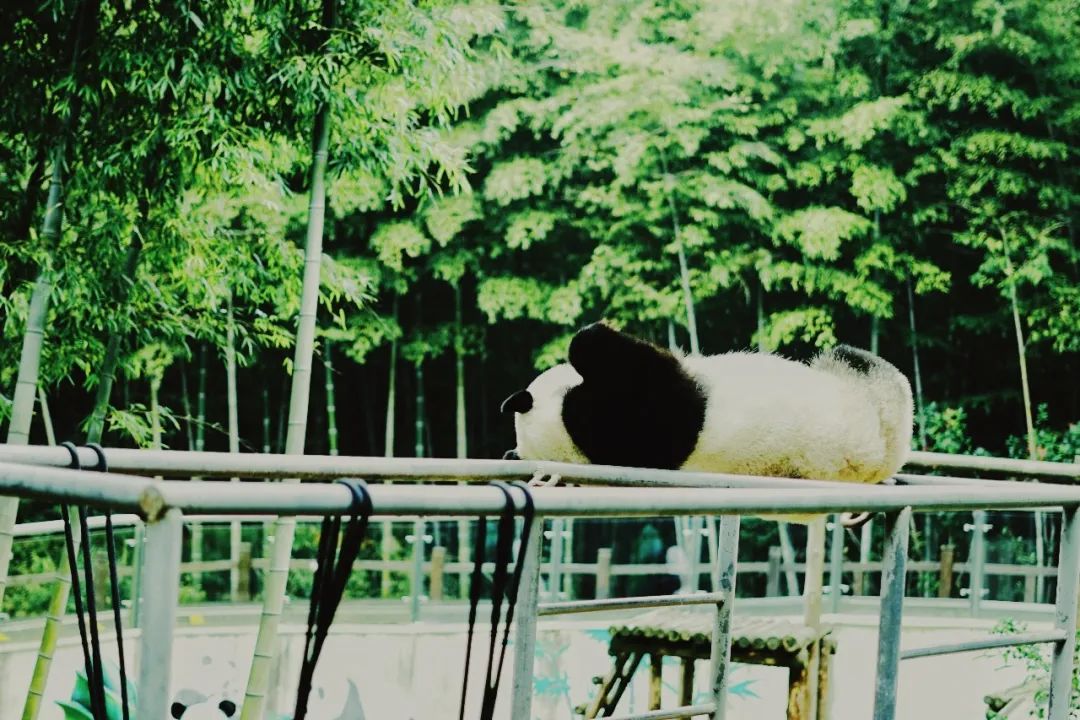 夏天凉快风景好又有水的旅游景点,夏天旅游景点哪里最好玩