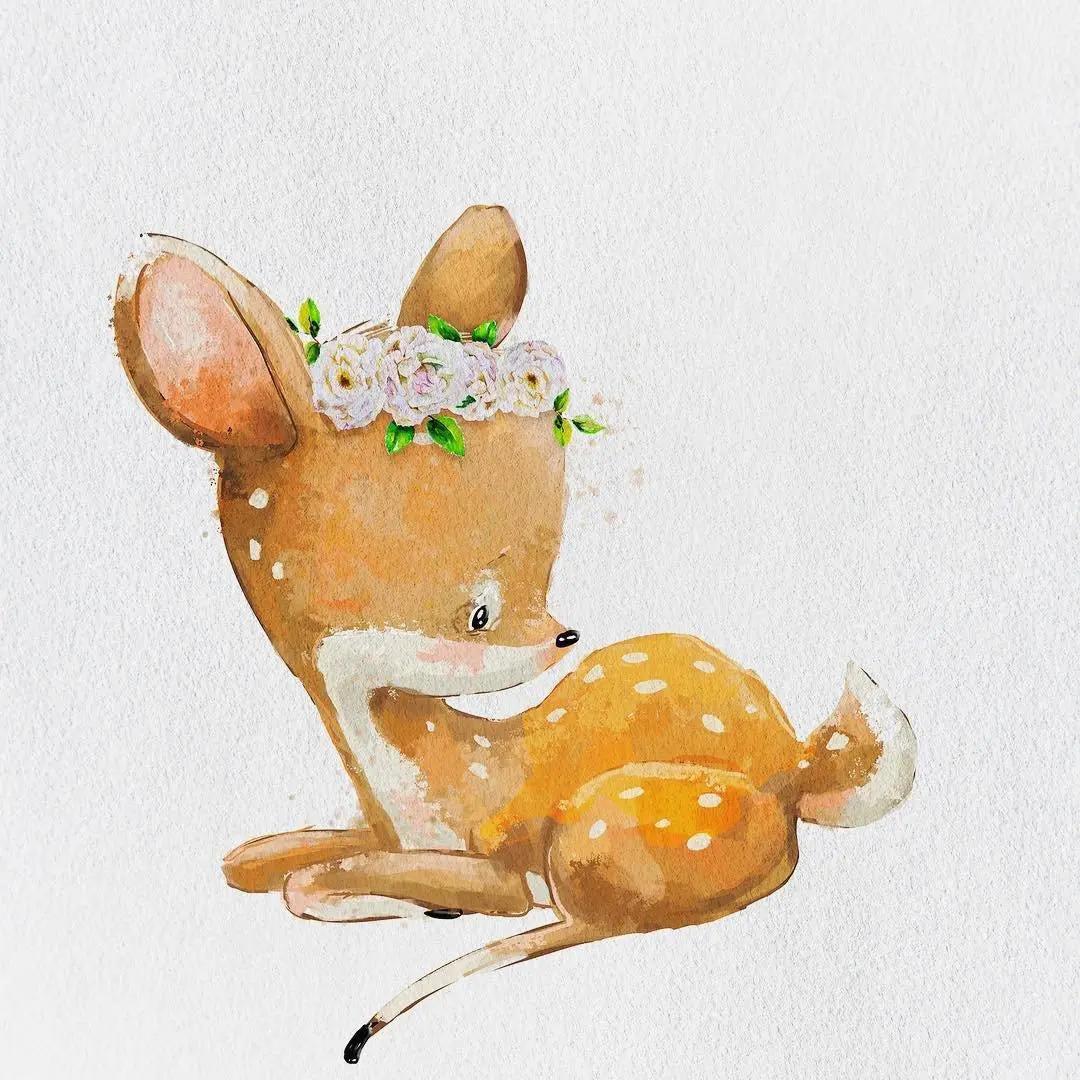 软萌可爱小动物插画,欧美卡通插画拟人动物