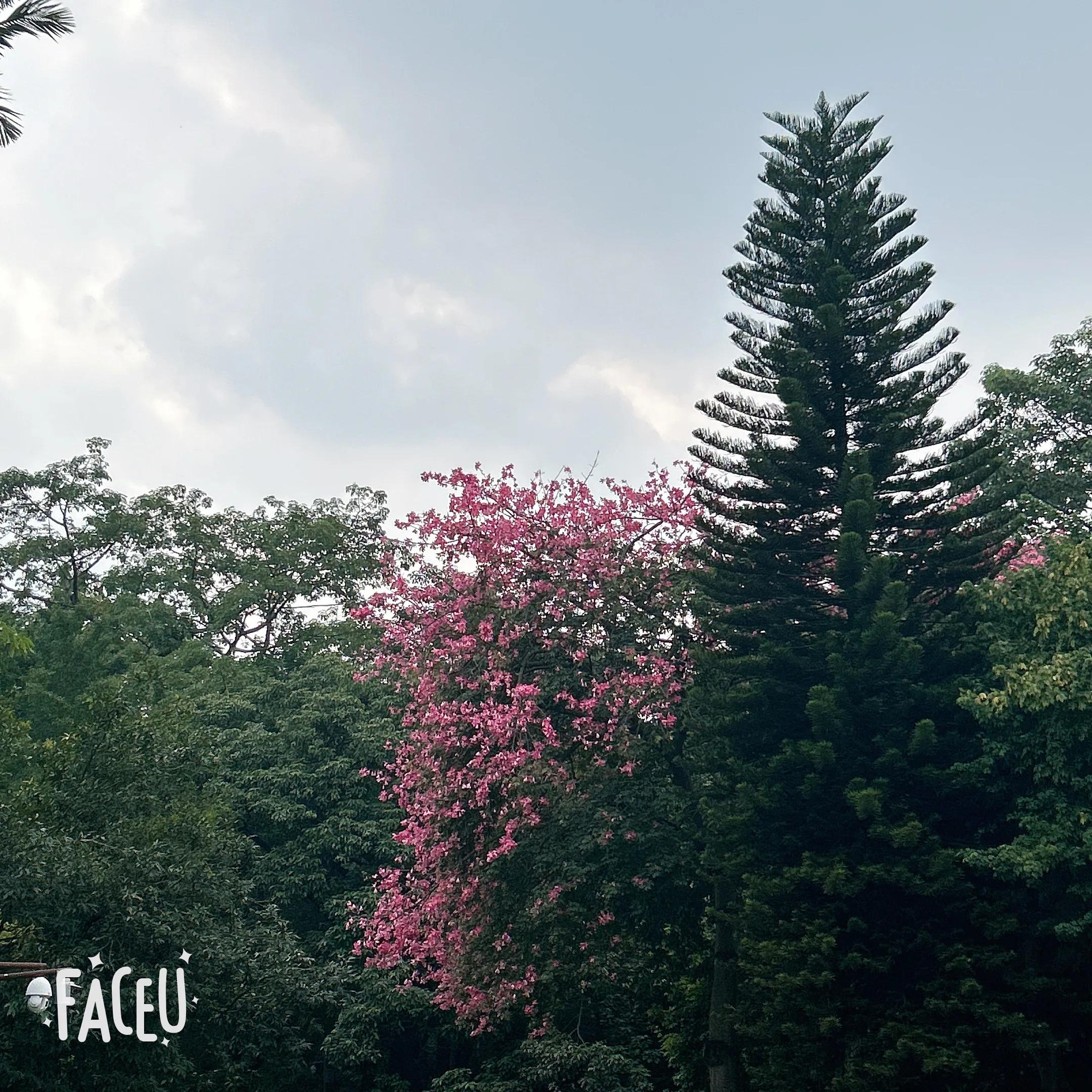 婚前发现老公是渣男为什么还嫁,婚后遇到渣男了怎么办