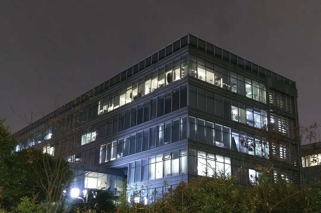 探访雪梨清仓现场,雪梨甩卖