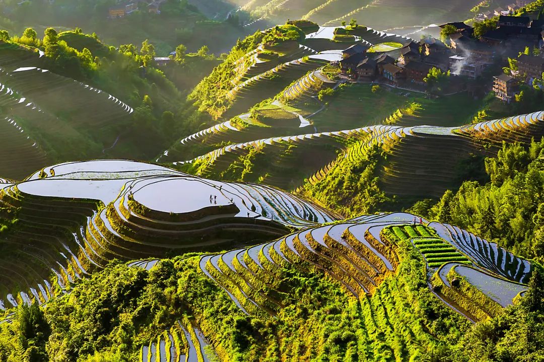 盘点那些过气网红的现状,2020年已经过气的网红