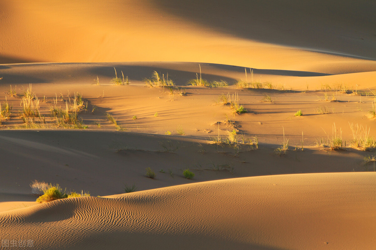 森林里面迷路了怎么办,森林探险迷路了怎么办