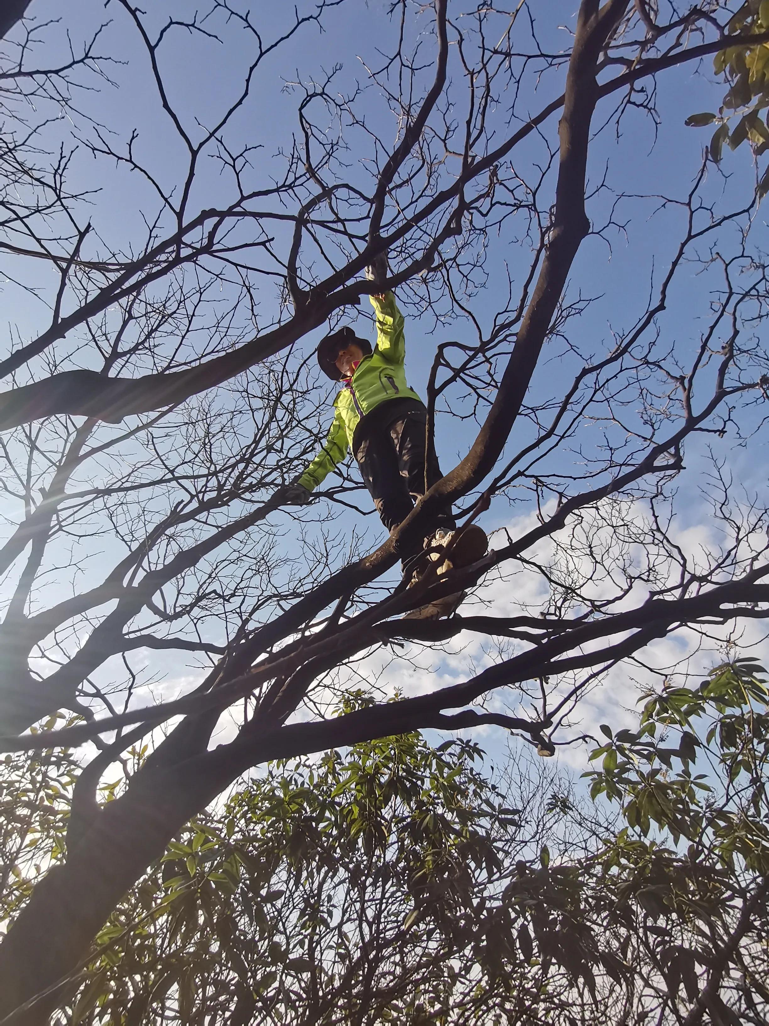 环岱山全程徒步要多久,新邵龙山自驾怎么走
