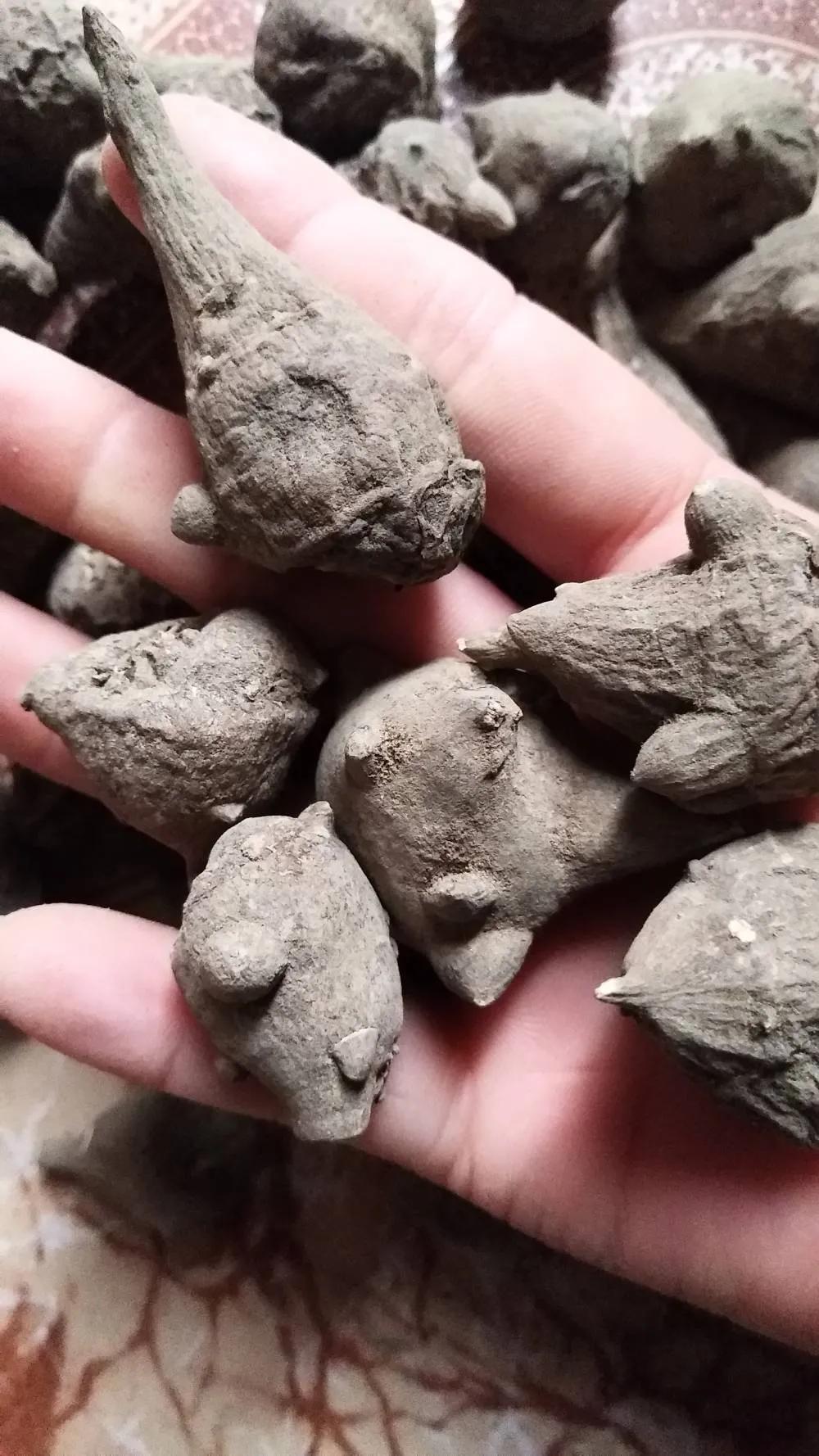 下巴一直长痘反反复复怎么办,下巴反复痘痘10多年