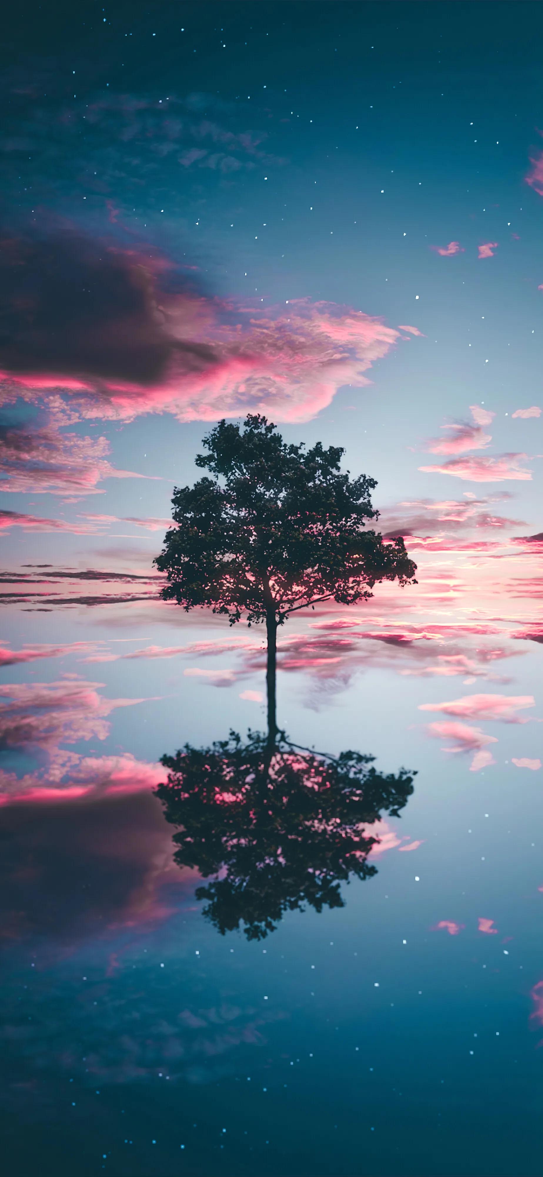 生日祝福高级小众的英文文案,美食文案高级小众有生活气息