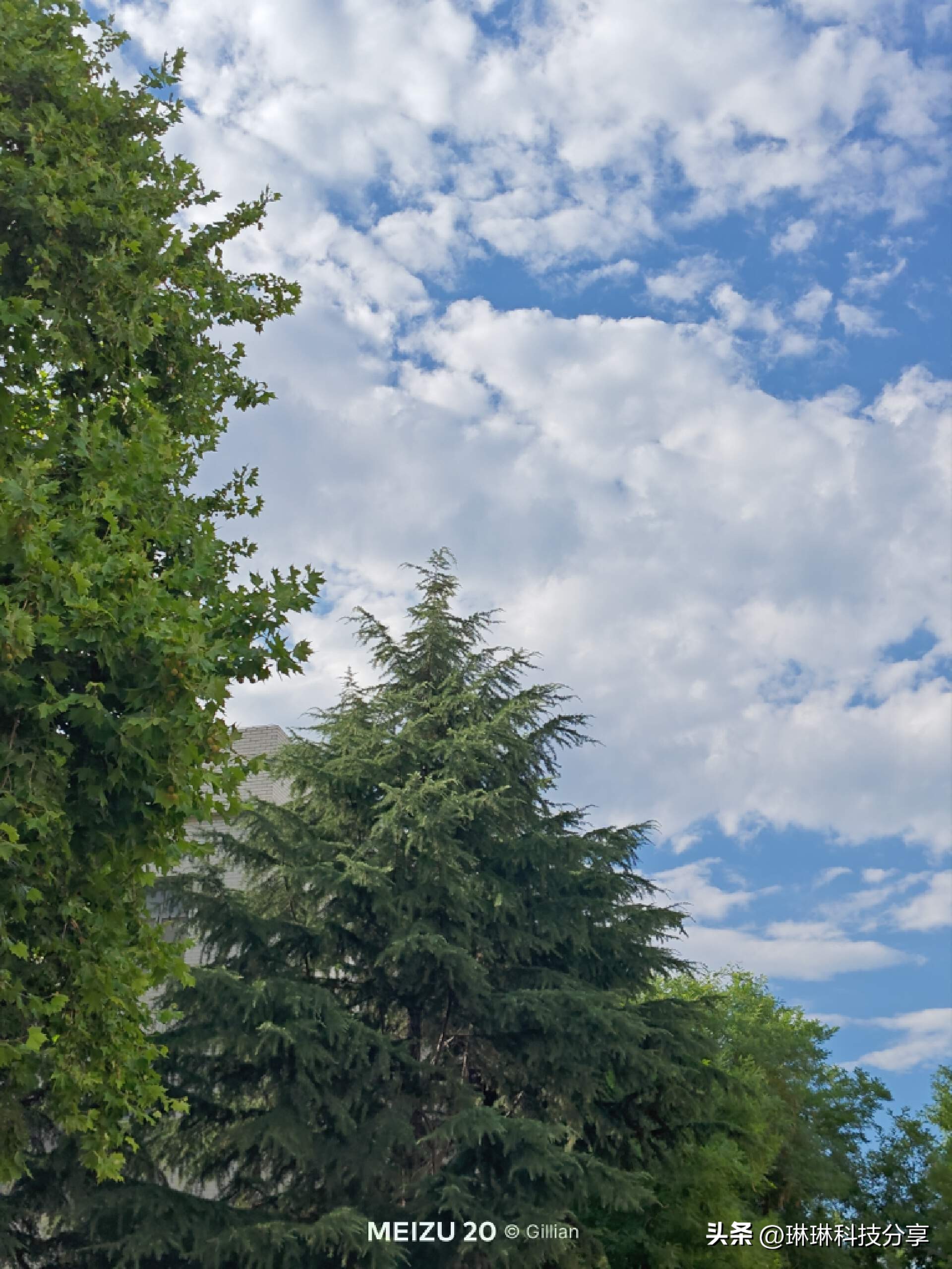 魅族20使用半年测评,魅族20有哪些特殊功能吗