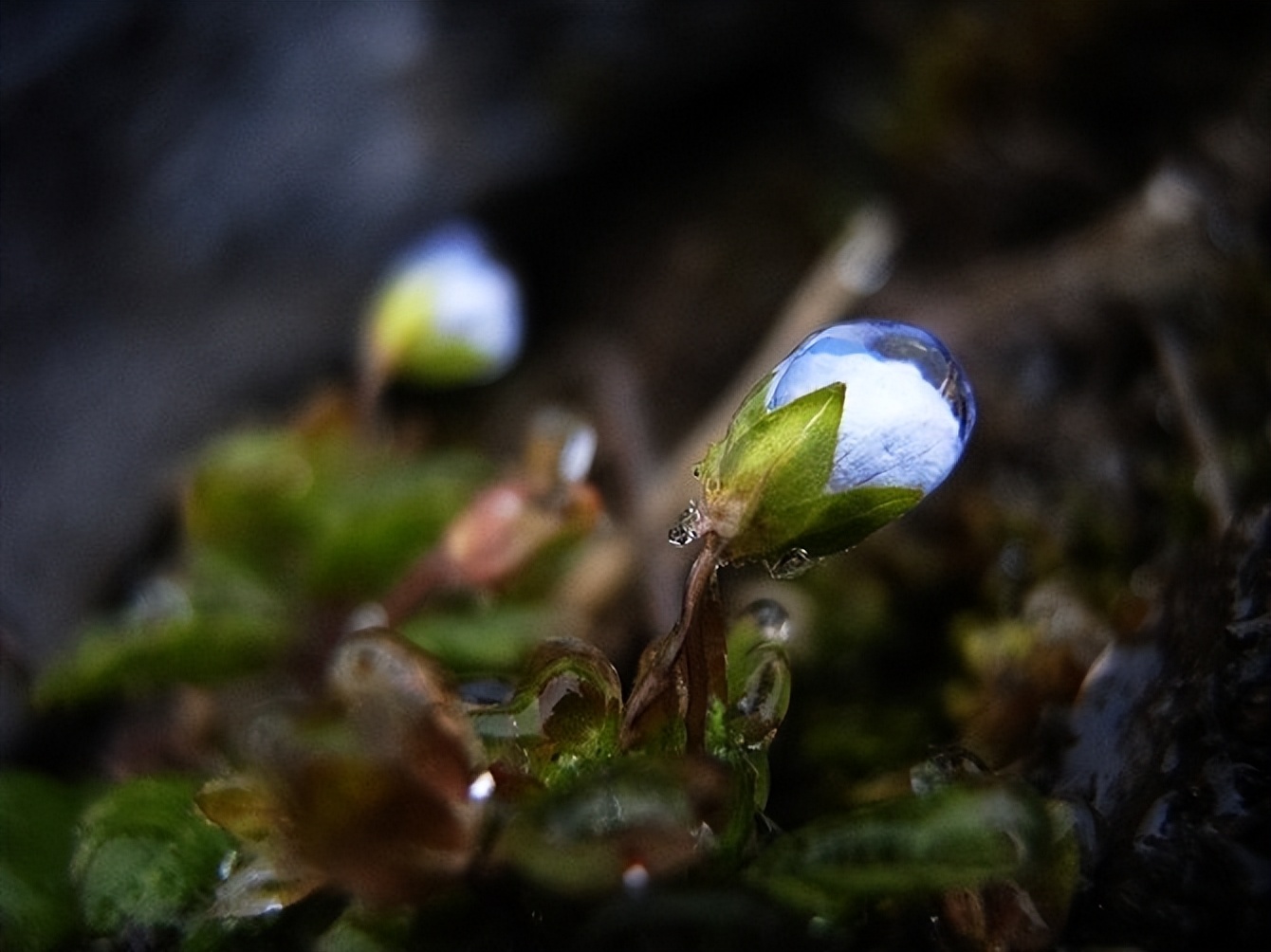 石门坎小学,石门坎部队医院