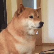 中国人下南洋如何白手起家,白手起家的人特征