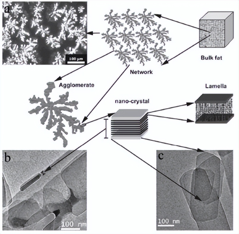 听说你们想要“又大又圆又多”的鱼籽籽？猛戳下文