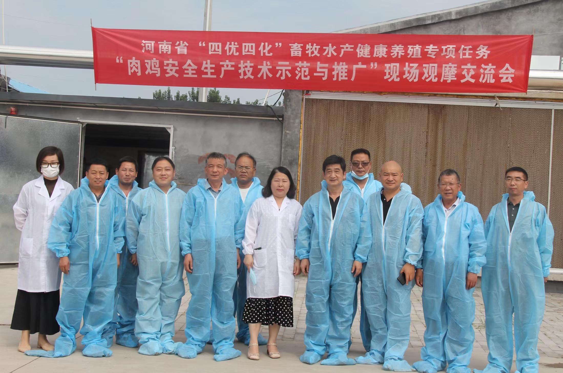 河南肉鸡养殖带动乡村振兴,扶持肉鸡标准化规模养殖场建设