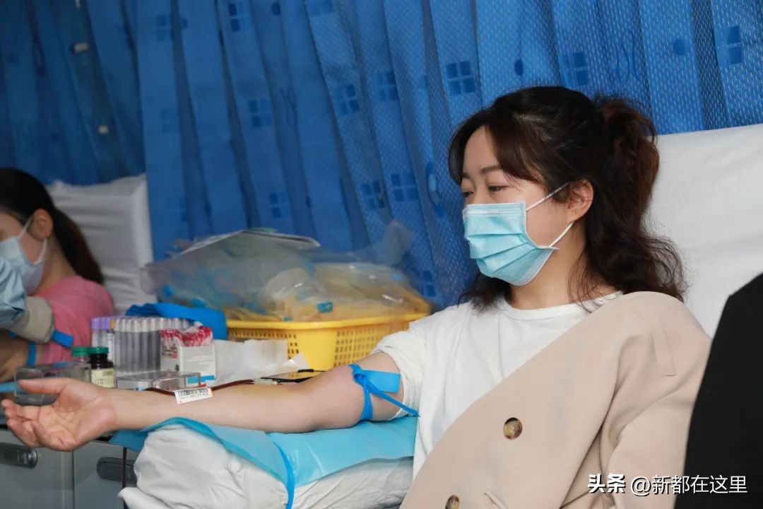 世界献血日小学生感悟,世界献血日科普知识讲座