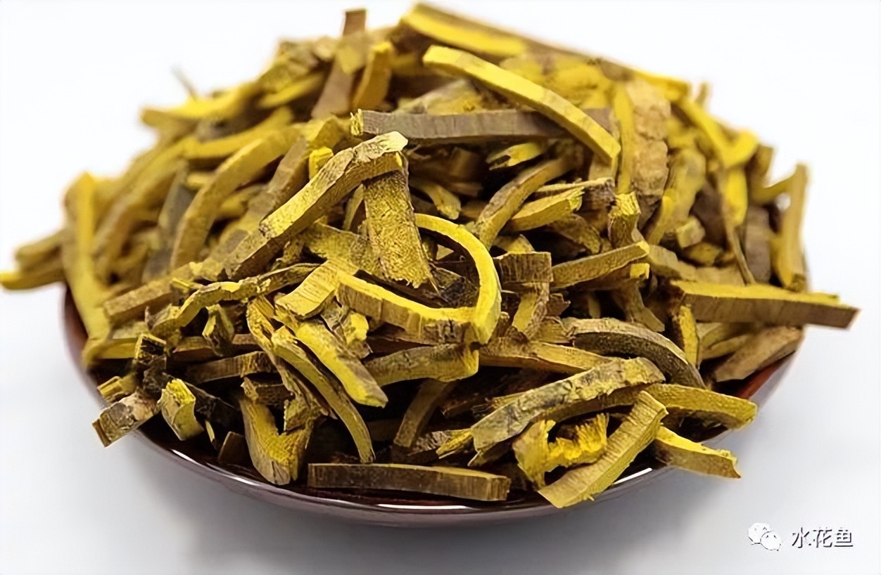 12种水产病害防治,你对水产动物病害的初步认识