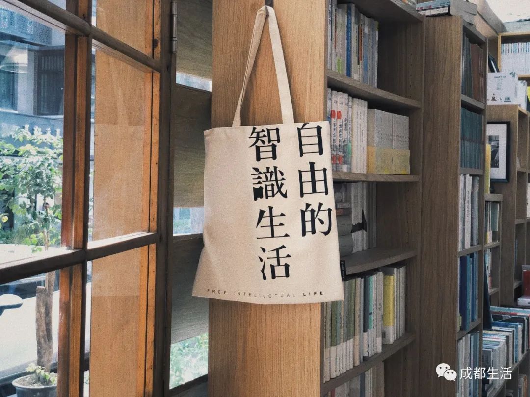 12条时髦老街，长满晒太阳的成都人