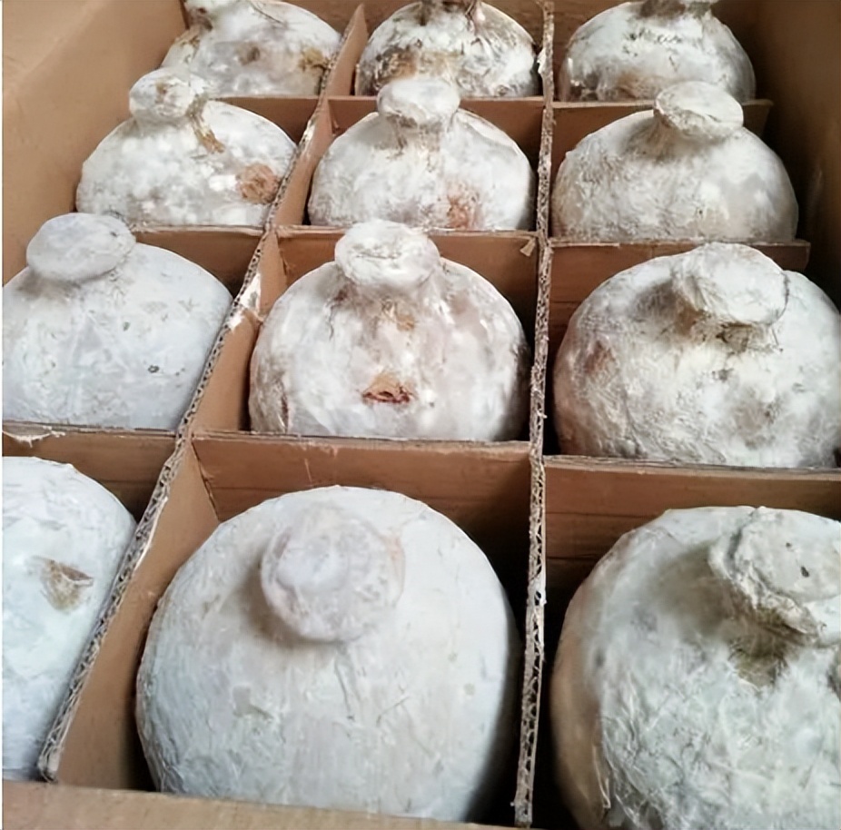 山东一男子买酒埋了20年,到底还能不能喝?酒水店老板说完都懂了