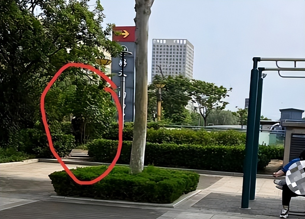 男子在街头小便被罚款,男子在公共场所随地小便被拘