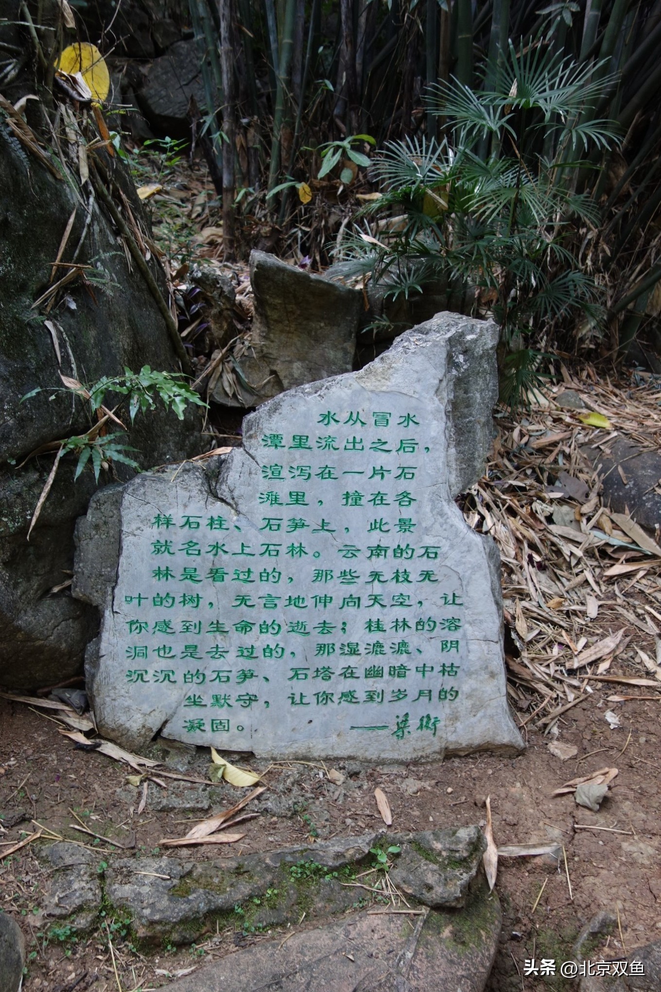 贵州黄果树最美的地方,贵州黄果树旅游攻略自由行