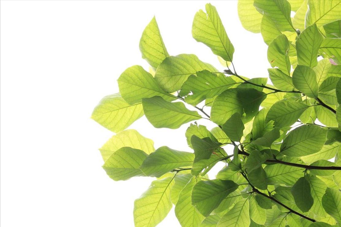 老话说“年景好不好，四月看八九”啥意思？八九指哪天？答案来了