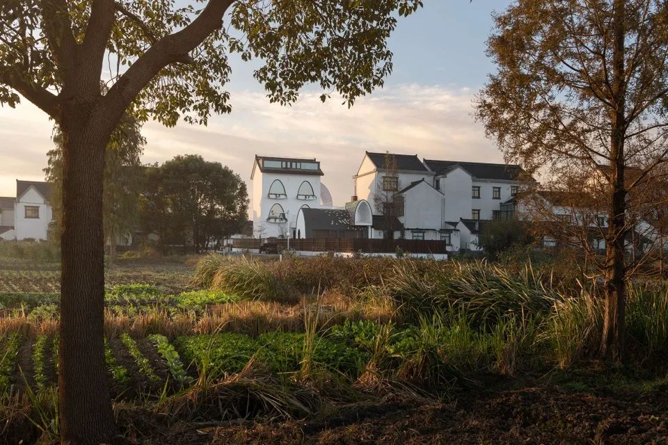 最受欢迎的民宿风格图片,简单又省钱的民宿设计