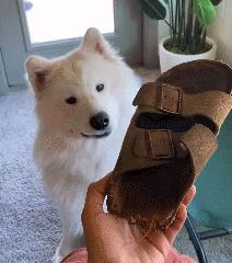 女厕的诡异之处,女厕所发现怪异男尸