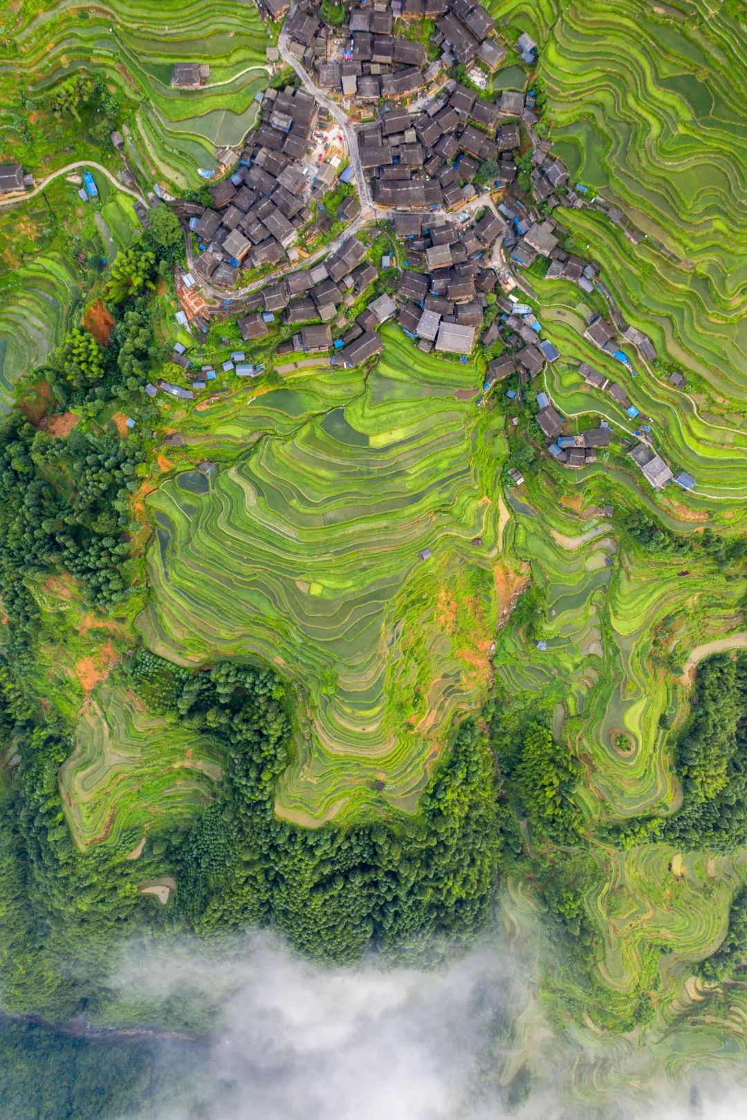 怎样全面了解中国历史,如何全方位读懂中国历史