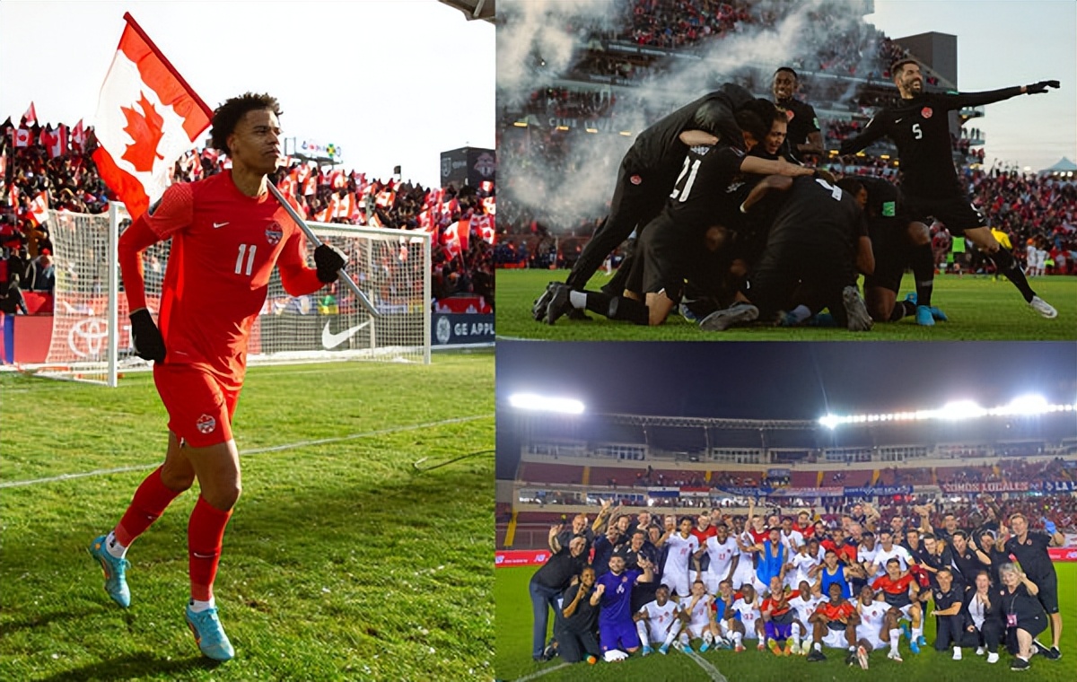 2022年世界杯B组小组赛,2022世界杯巡礼之c组