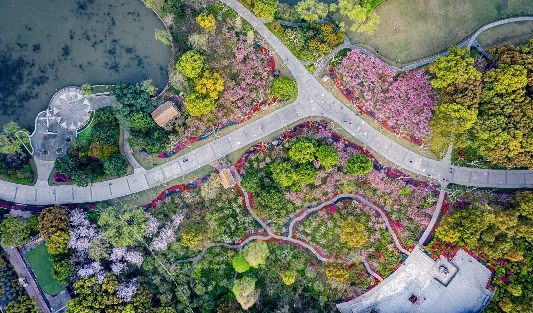 上海地铁直达的公园,上海最美公园地铁站