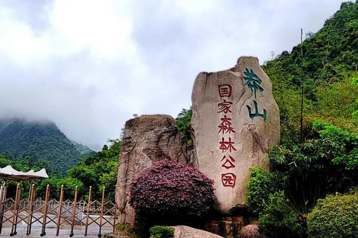 100元一条小青龙,中国毒蛇小青龙