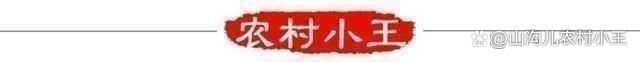 农村开办工厂合法吗,在农村开办工厂