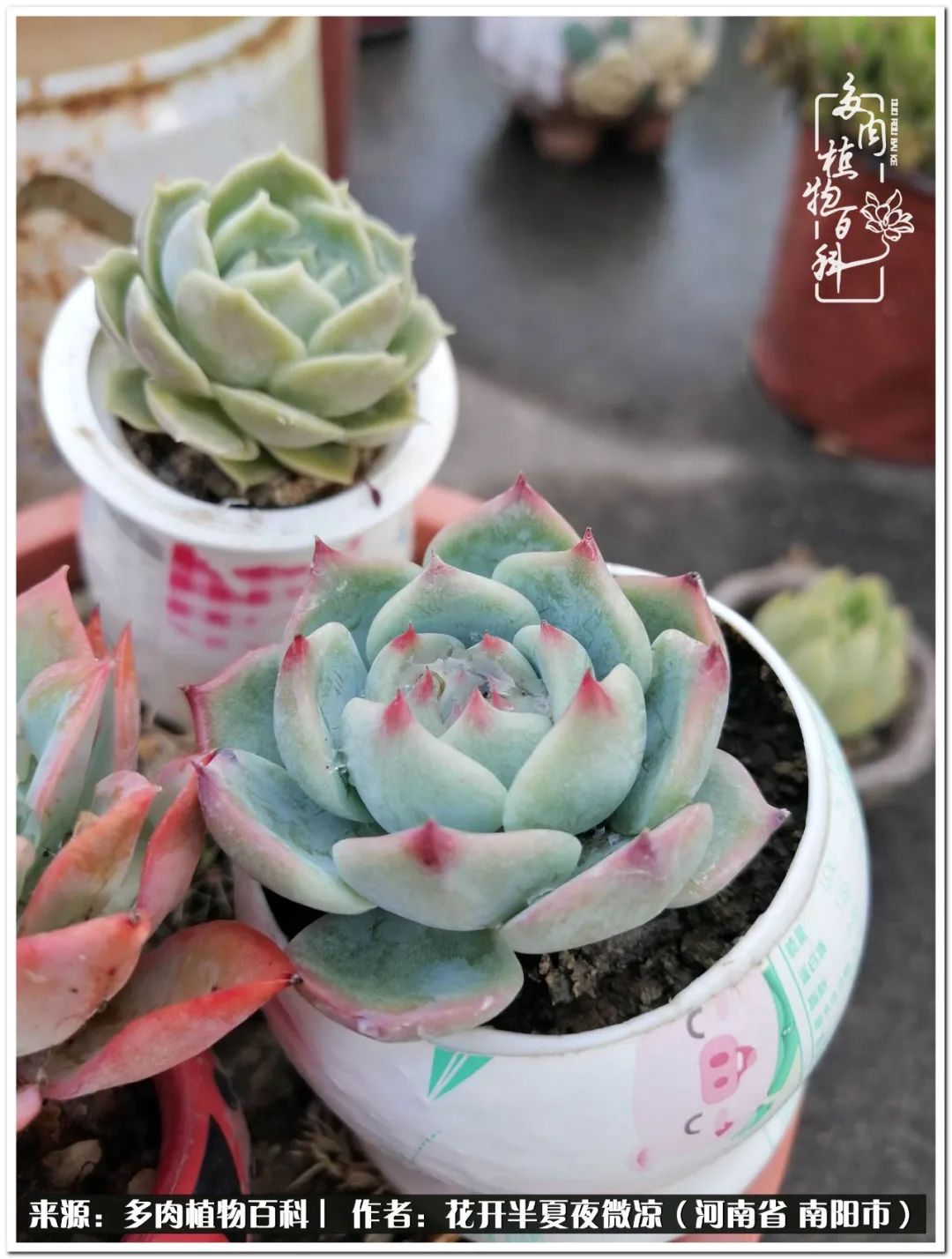 万事开头难只要坚持才有收获,万事开头难只要肯干就会有结果