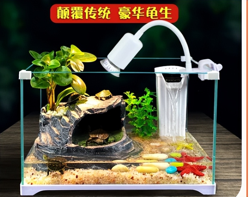 庭院龟缸养龟,黄缘半水龟养龟专用缸