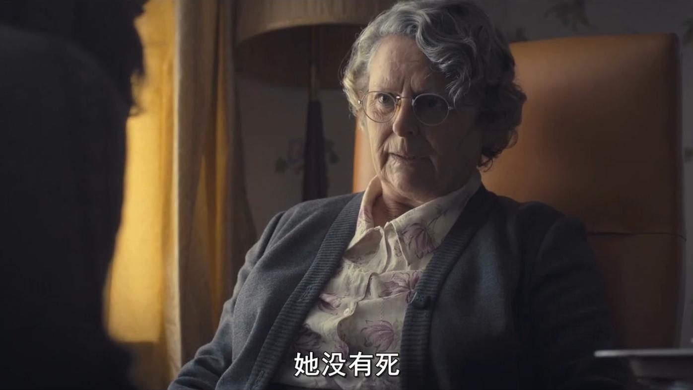 现实版隐入尘烟视频,隐入尘烟事件