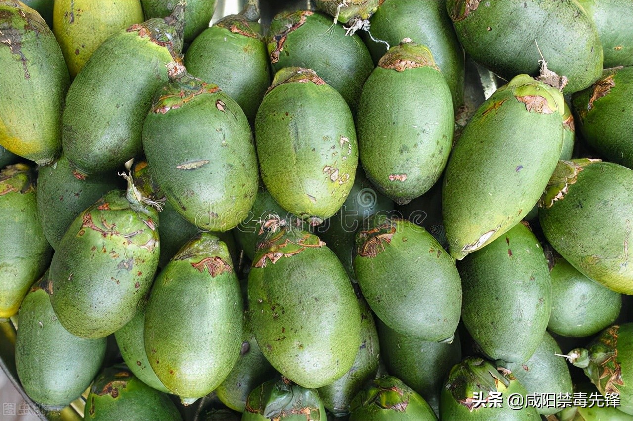 槟榔的危害科学分析,槟榔的危害有多大资料