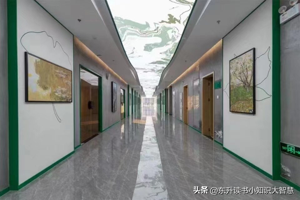 合肥省示范高中有哪些,合肥示范高中指标到校