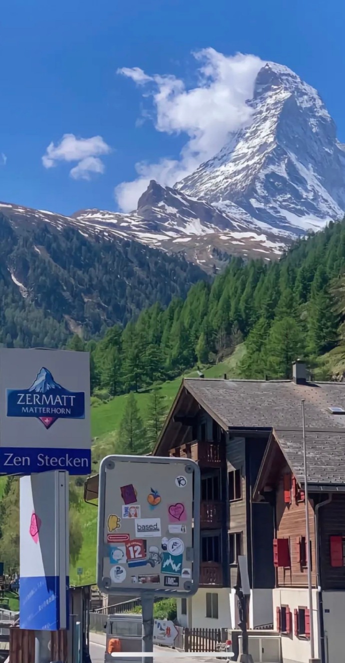 怎么会不喜欢綠色壁纸呢