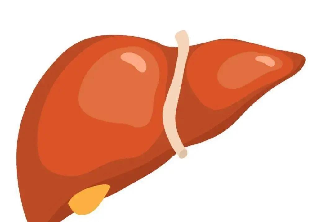 电蚊香对蚕蛾有害吗,电蚊香对脑神经有危害吗