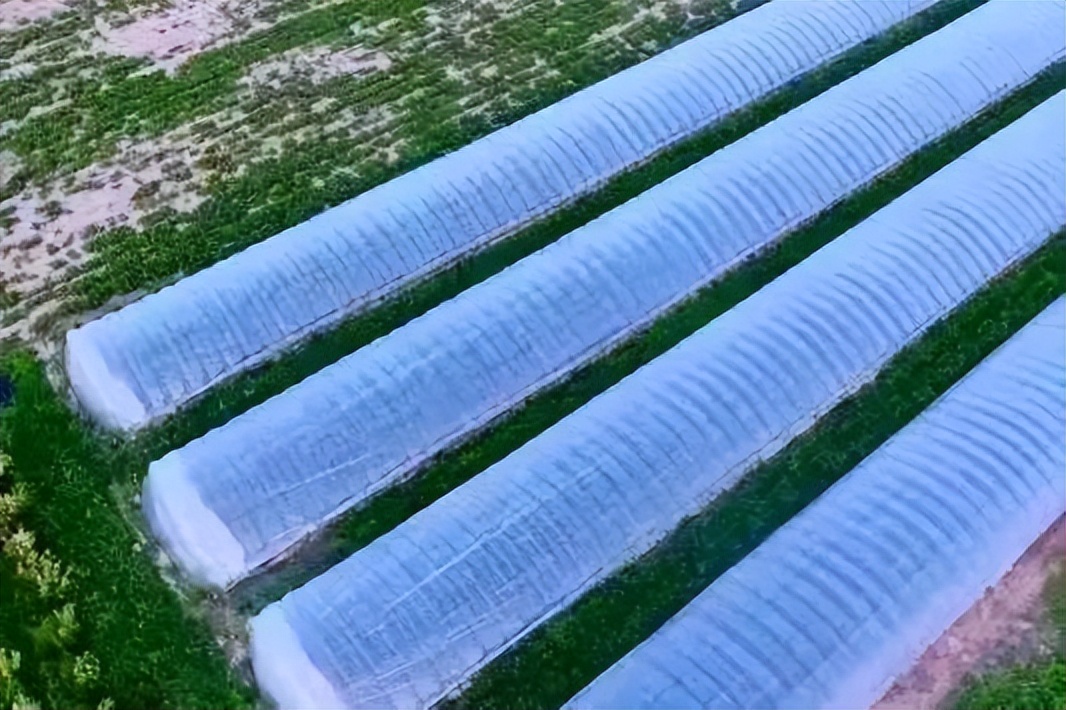 巴彦花镇招聘,乡村振兴吸引人才返乡