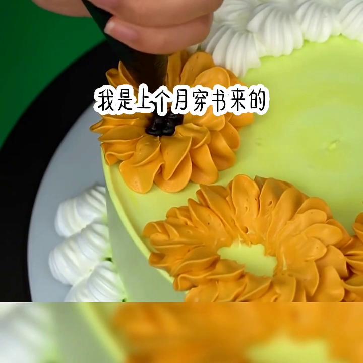 良辰之心2免费观看,良辰之心2