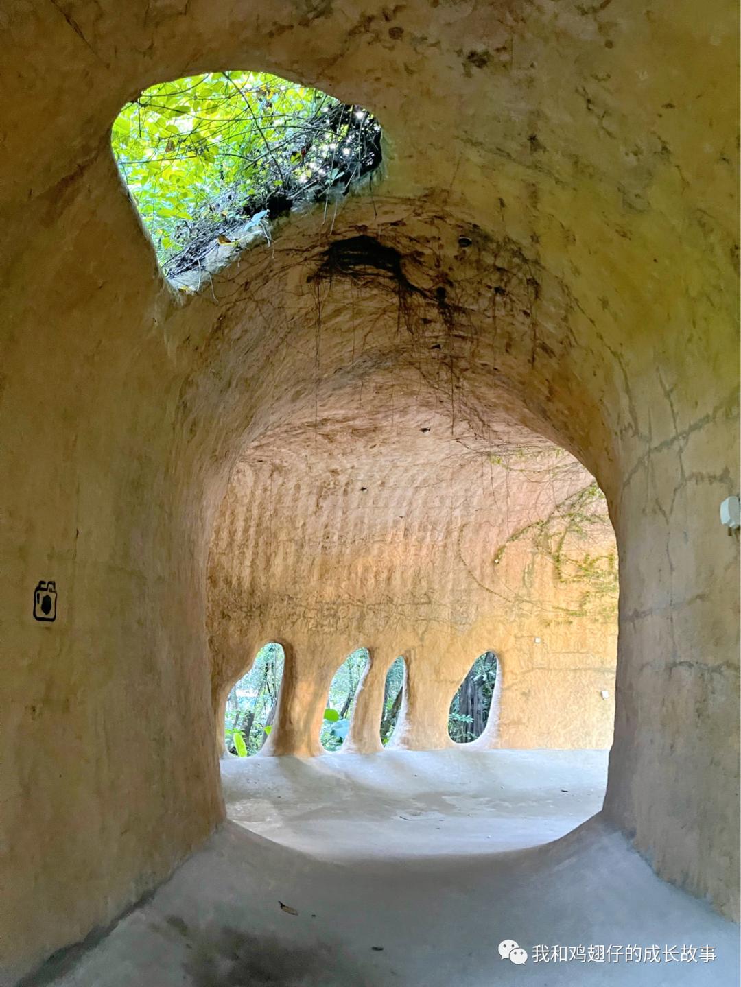 爱美丽深度解读,爱美丽150集免费观看