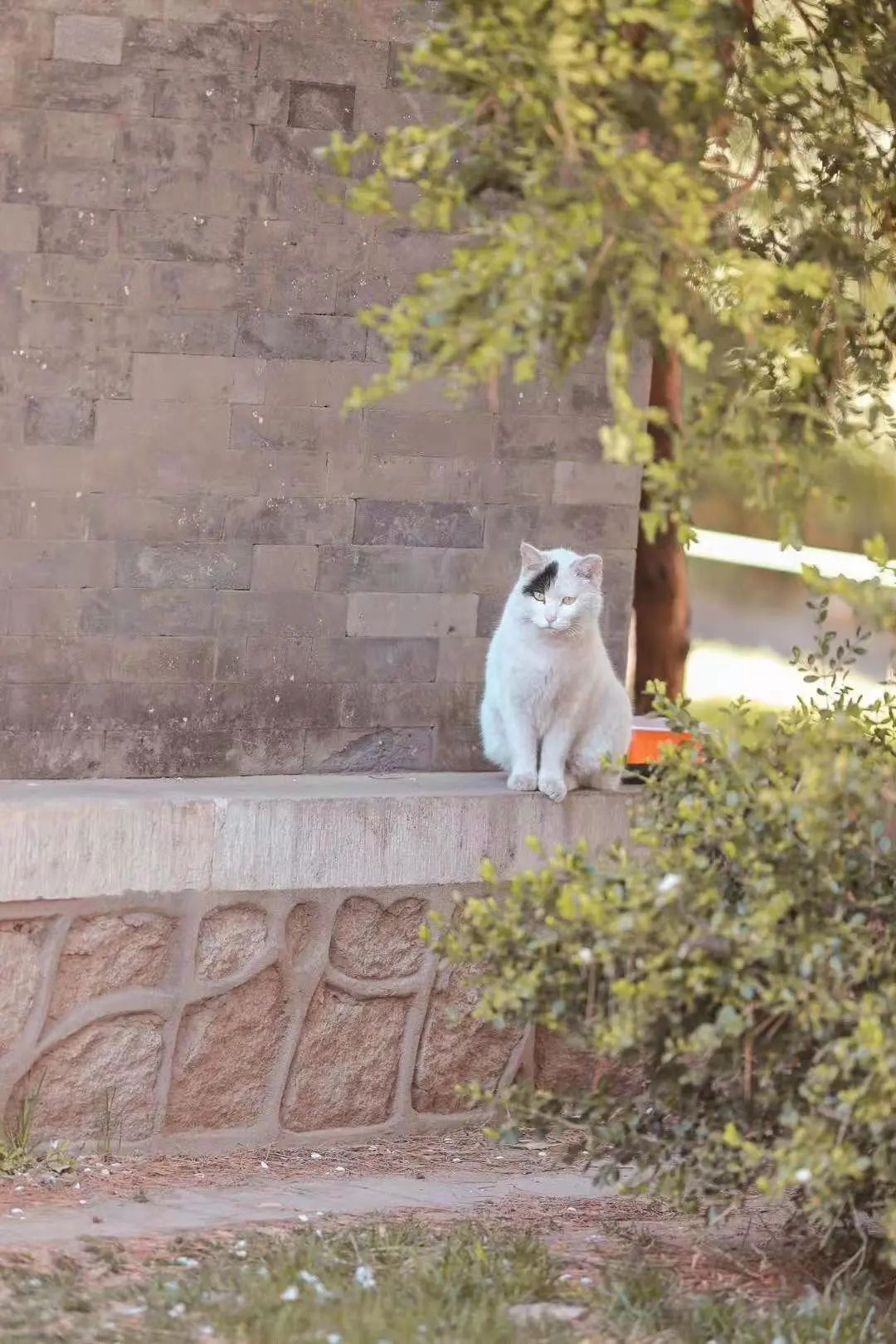 清明北京周边一日游景点推荐,清明节去哪里旅游比较好玩呢北京