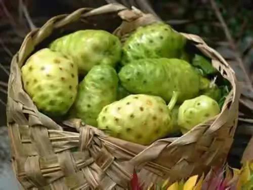 100多种罕见水果欣赏,100种罕见水果名字