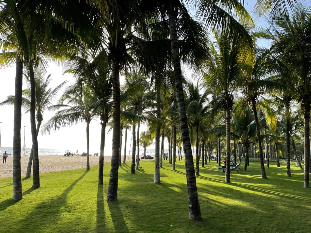 三亚土福湾嘉佩乐酒店,三亚私密别墅