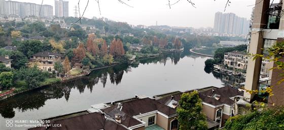 悦来棕榈泉一楼水景,棕榈泉花园户型图