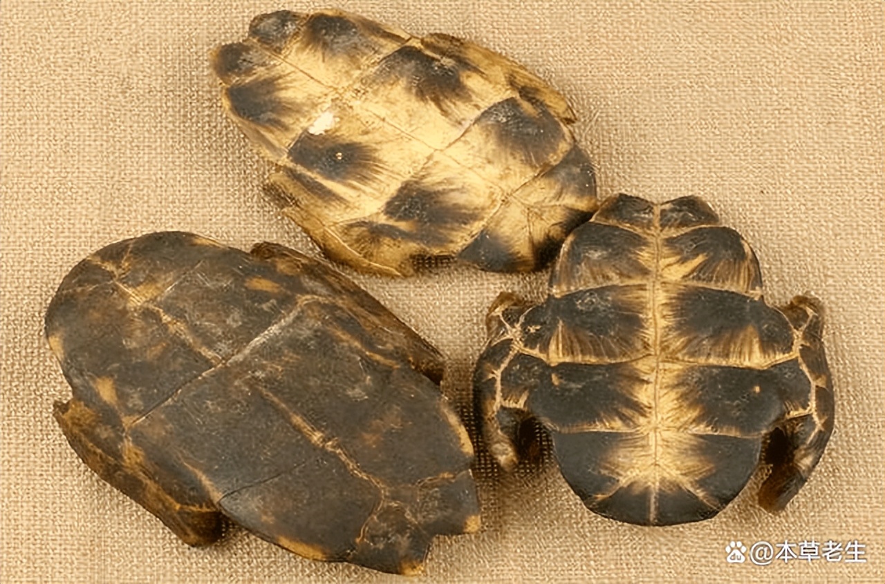 中药材近年来出口整体表现,中药材进出口现状